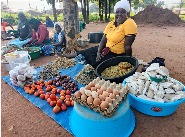 Cassava farming